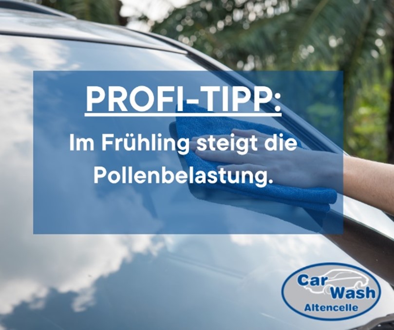 Profi Tipp